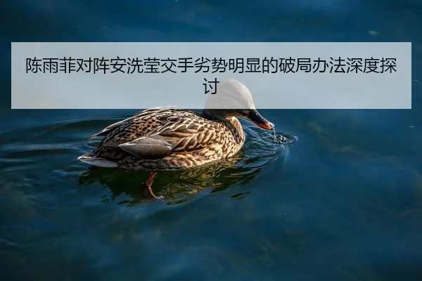 陈雨菲对阵安洗莹交手劣势明显的破局办法深度探讨